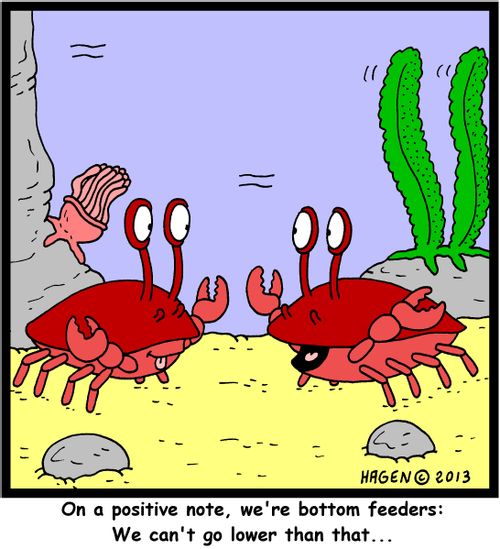 'On a positive note, we're bottom feeders: We can't go lower than that...'