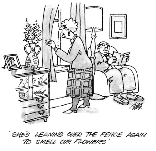 'She's leaning over the fence again to smell our flowers.'