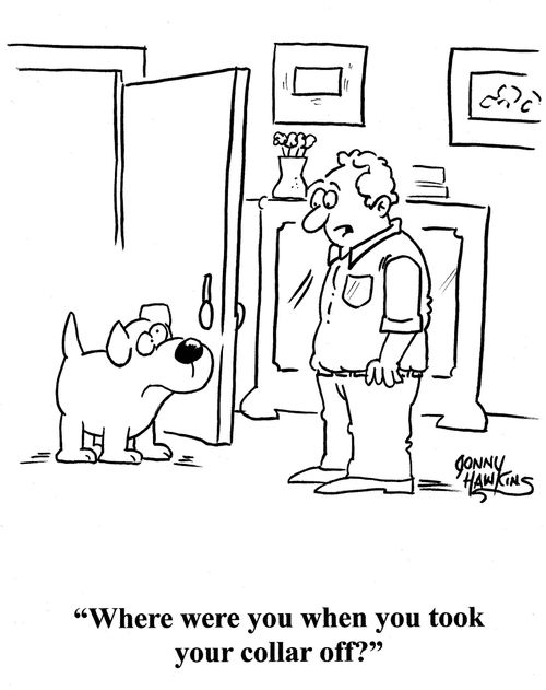 Man to dog: 'Where were you when you took your collar off?'