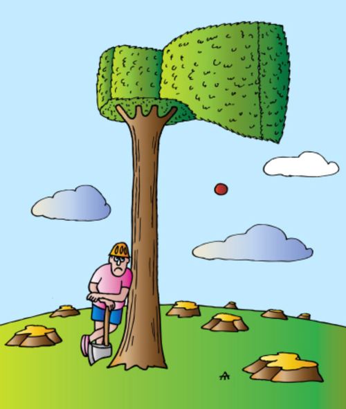 Deforestation: The Last Tree