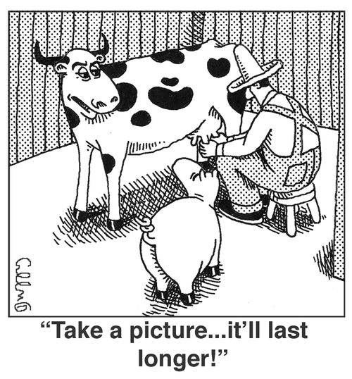 'Take a picture...it'll last longer.'