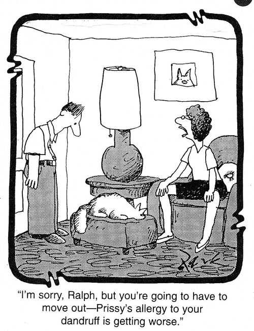 'I'm sorry, Ralph, but you're going to have to move out - Prissy's allergy to your dandruff is getting worse.'