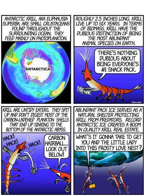 Antarctic Krill Extinction?
