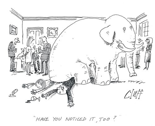 'Have you noticed it, too?'