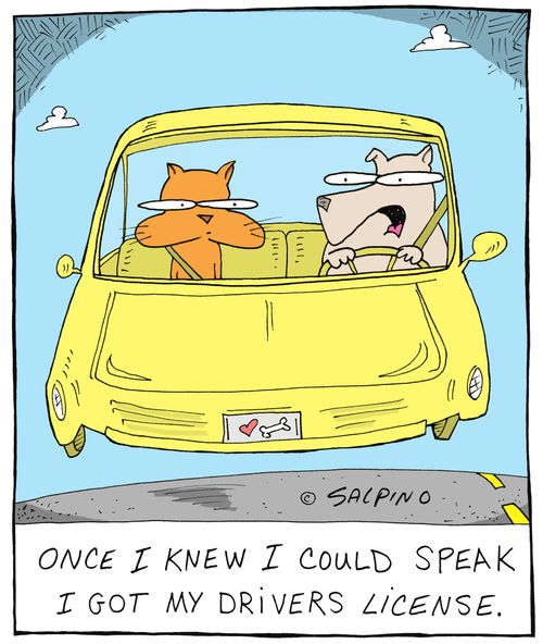 Once I knew I could speak I got my drivers license.