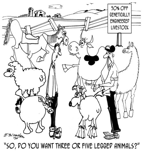 'So, do you want three or five legged animals?'
