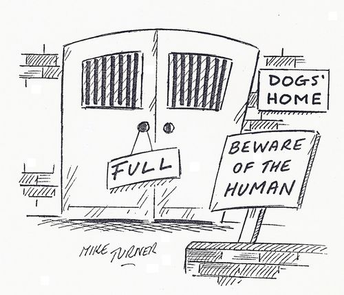 Dogs Home: Beware of the Human