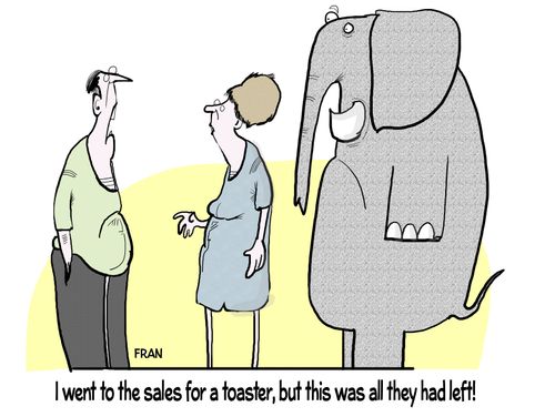 "I went to the sales for a toaster, but they is all they had left!"