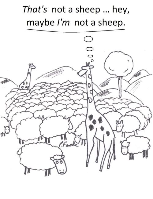 That's not a sheep … hey, maybe I'm not a sheep.