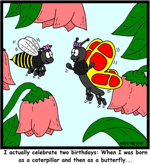 'I actually celebrate two birthdays: When I was born as a caterpillar and then as a butterfly...'