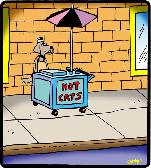 Dog sells 'Hot Cats'.