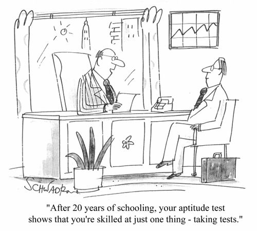 "After 20 years of schooling, you're skilled at just one thing, taking tests"