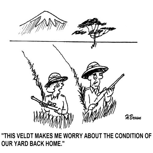 'This veldt makes me worry about the condition of our yard back home.'