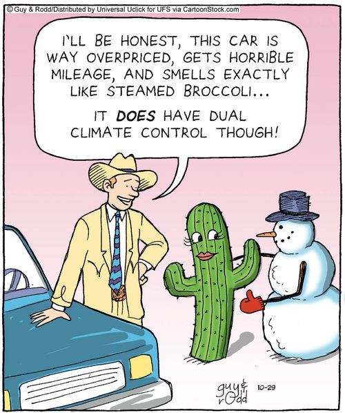 'I'll be honest, this car is way overpriced, gets horrible mileage, and smells exactly like steamed broccoli. . . it does have dual climate control though!'
