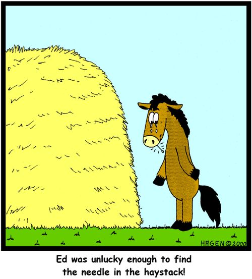 Ed was unlucky enough to find the needle in the haystack!