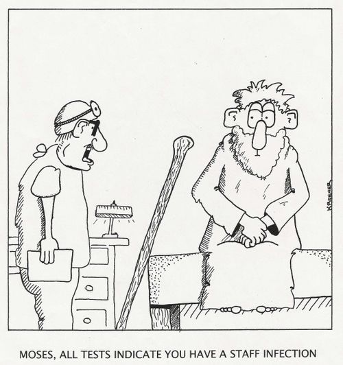 "Moses, all tests indicate you have a staff infection."