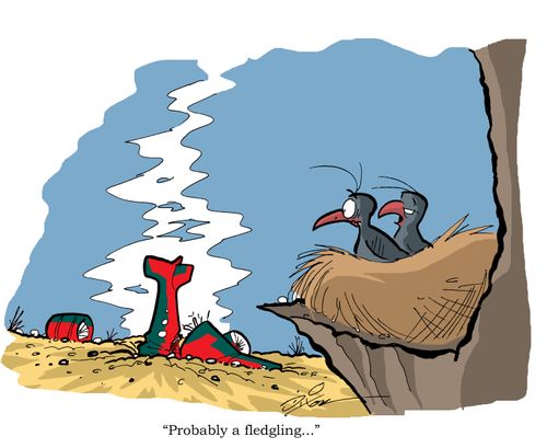"Probably a fledgling..."