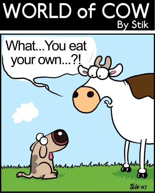 Cow talking to dog: 'What...You eat your own...?!'