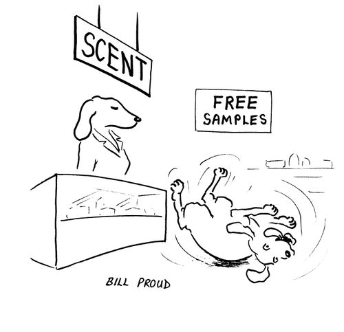 Scent - free samples.