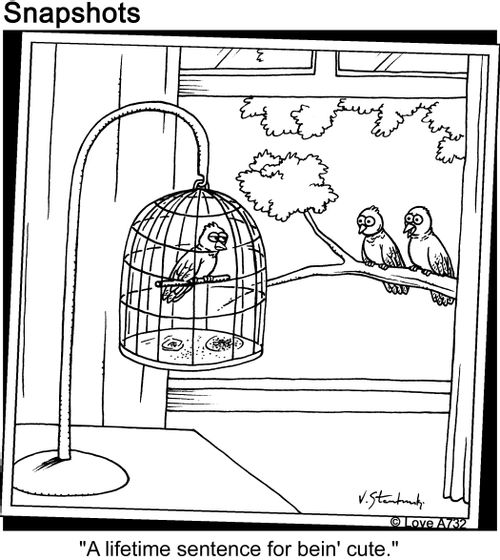 'A lifetime sentence for bein' cute.'