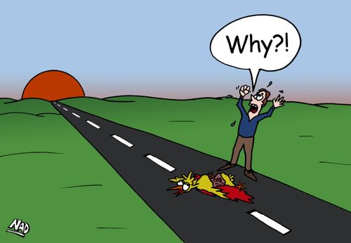 A man stands over a dead chicken as it tried to cross the road - "Why?!"