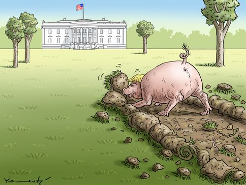Trump's Campaign for the White House