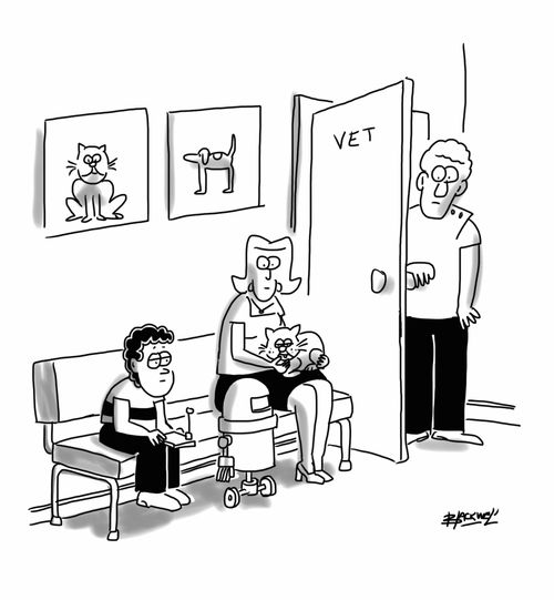 Kid with pet robot at the vets.