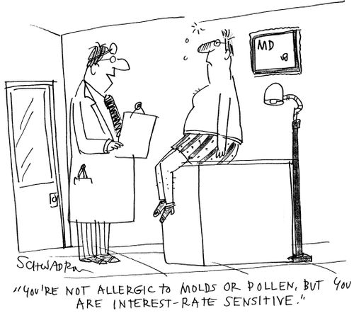 'You're not allergic to moulds or pollen, but you are interest-rate sensitive.'