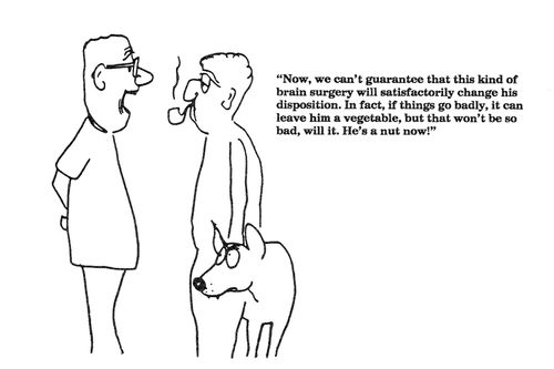 'Now, we can't guarantee that this kind of brain surgery will change his disposition.'