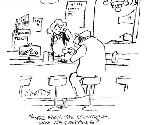 'Aside from the cockroach, how was everything?'
