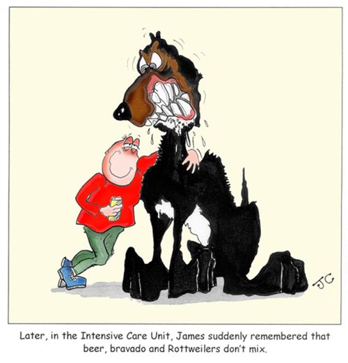 Later, in the Intensive Care Unit, James suddenly remembered that beer, bravado and Rottweilers don't mix