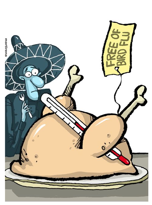 Bird Flu in Mexico.