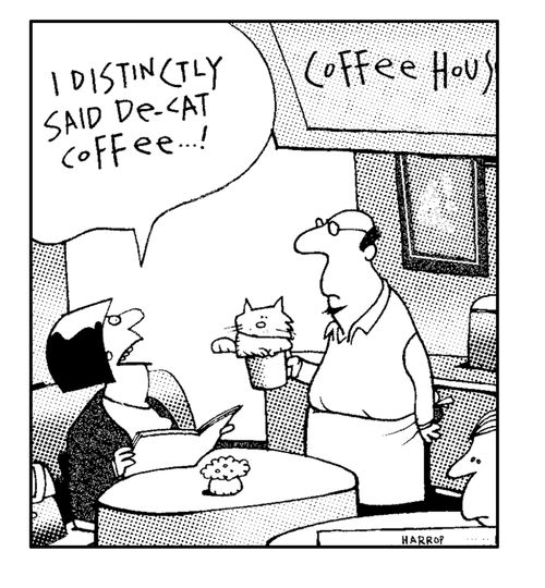 "I said de-cat coffee."