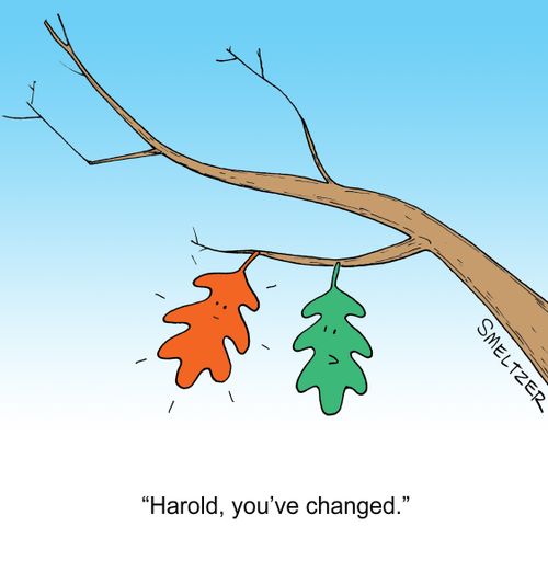 "Harold, you've changed."