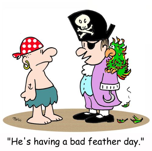 'He's having a bad feather day.'