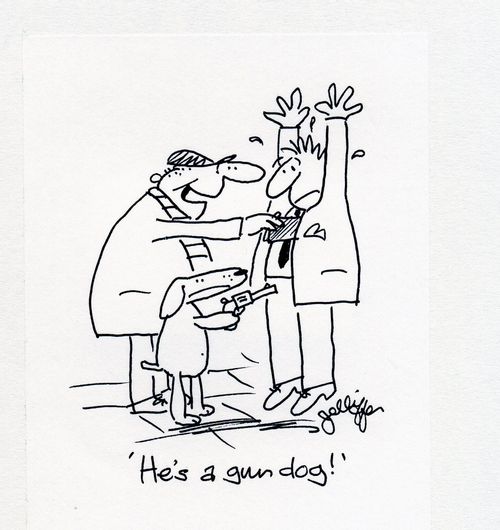 'He's a gun dog!'
