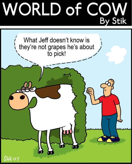 What Jeff doesn't know is they're not grapes he's about to pick!