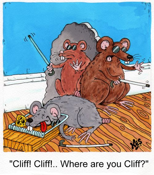 'Cliff! Cliff!.. Where are you Cliff?'