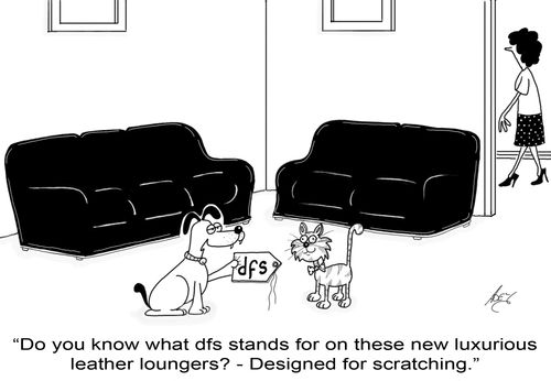 "Do you know what DFS stands for? Designed for Scratching."