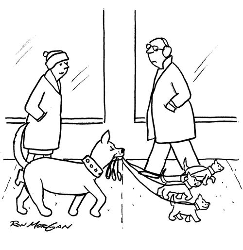 Father dog walks his puppies.