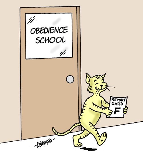 Cat leaves obedience school smiling because he got an 'F' on his report card.  