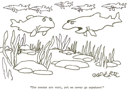 'The oceans are vast, yet we never go anywhere!'