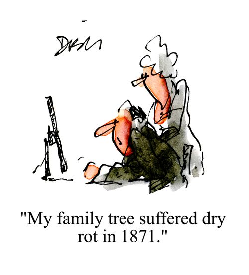 'My family tree suffered dry rot in 1871.'