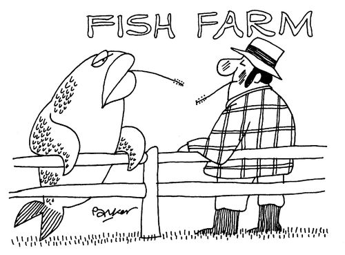 Fish Farm.