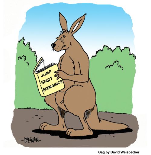 Kangaroo Reading Book About Jump Start Economics