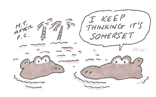 'I Keep Thinking it's Somerset.'