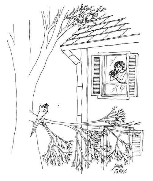 Bird watcher sees bird looking back with binoculars.