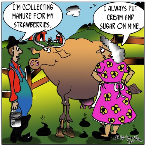 'I'm collecting manure for my strawberries.' The woman says, 'I always put cream and sugar on mine.'