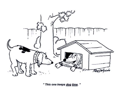 'This one keeps dog time.'