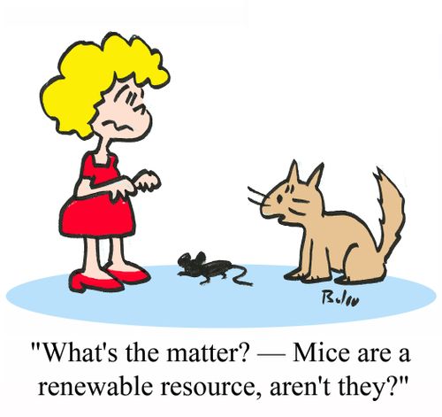 'What's the matter? - Mice are a renewable resource, aren't they?'